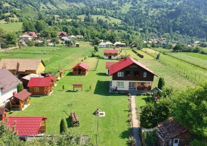 Casa Prundari Nicu Si Mirela Hotel Poiana Teiului Buitenkant foto