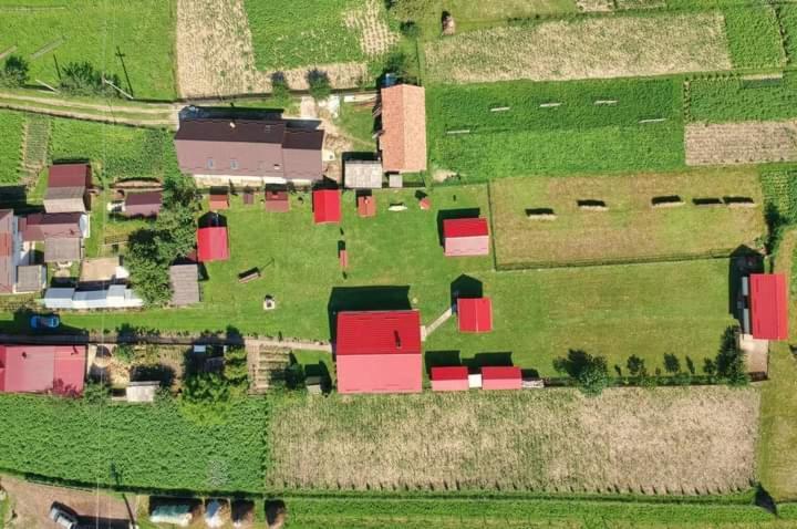 Casa Prundari Nicu Si Mirela Hotel Poiana Teiului Buitenkant foto