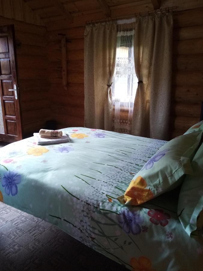 Casa Prundari Nicu Si Mirela Hotel Poiana Teiului Buitenkant foto