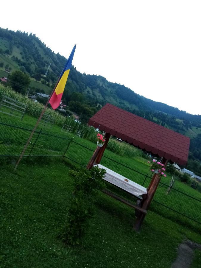 Casa Prundari Nicu Si Mirela Hotel Poiana Teiului Buitenkant foto