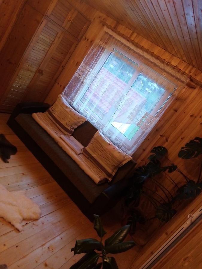 Casa Prundari Nicu Si Mirela Hotel Poiana Teiului Buitenkant foto