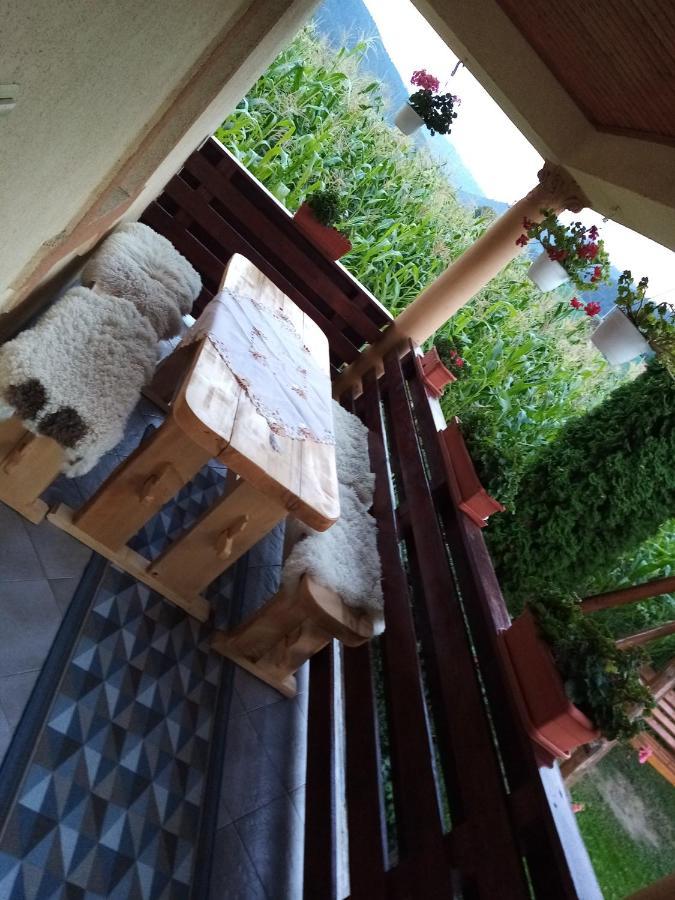 Casa Prundari Nicu Si Mirela Hotel Poiana Teiului Buitenkant foto