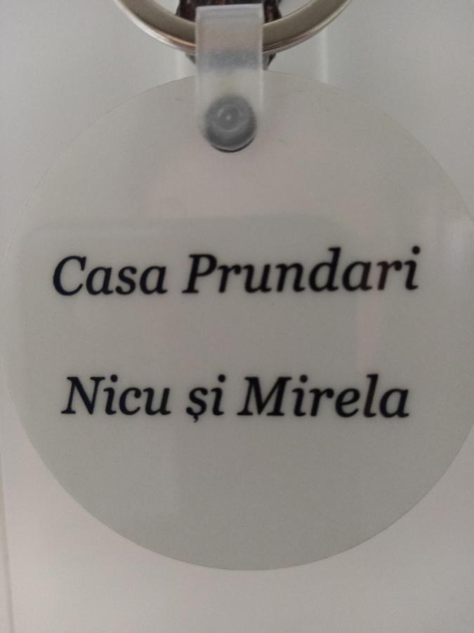 Casa Prundari Nicu Si Mirela Hotel Poiana Teiului Buitenkant foto
