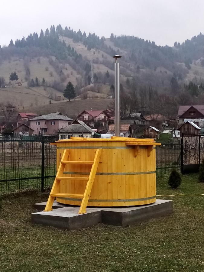 Casa Prundari Nicu Si Mirela Hotel Poiana Teiului Buitenkant foto