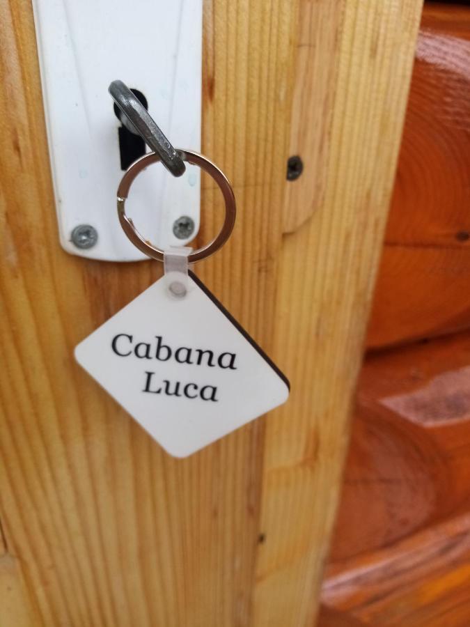 Casa Prundari Nicu Si Mirela Hotel Poiana Teiului Buitenkant foto