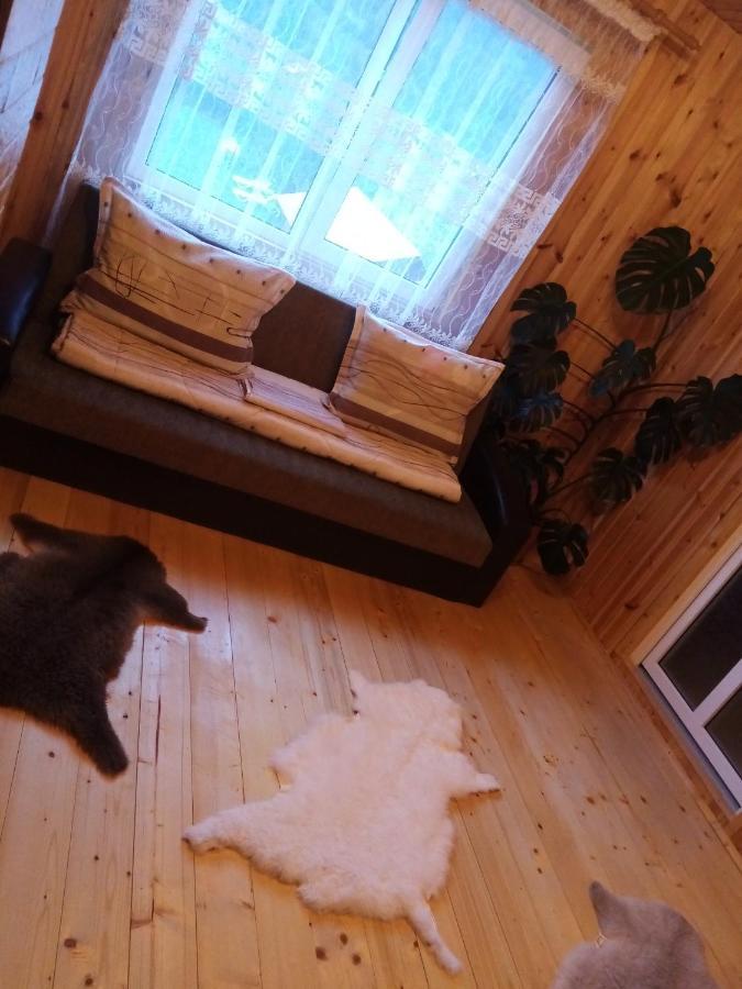 Casa Prundari Nicu Si Mirela Hotel Poiana Teiului Kamer foto