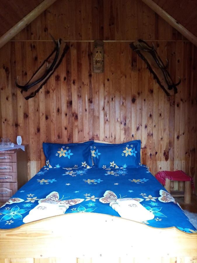 Casa Prundari Nicu Si Mirela Hotel Poiana Teiului Buitenkant foto