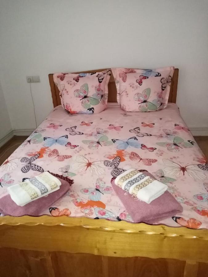 Casa Prundari Nicu Si Mirela Hotel Poiana Teiului Buitenkant foto