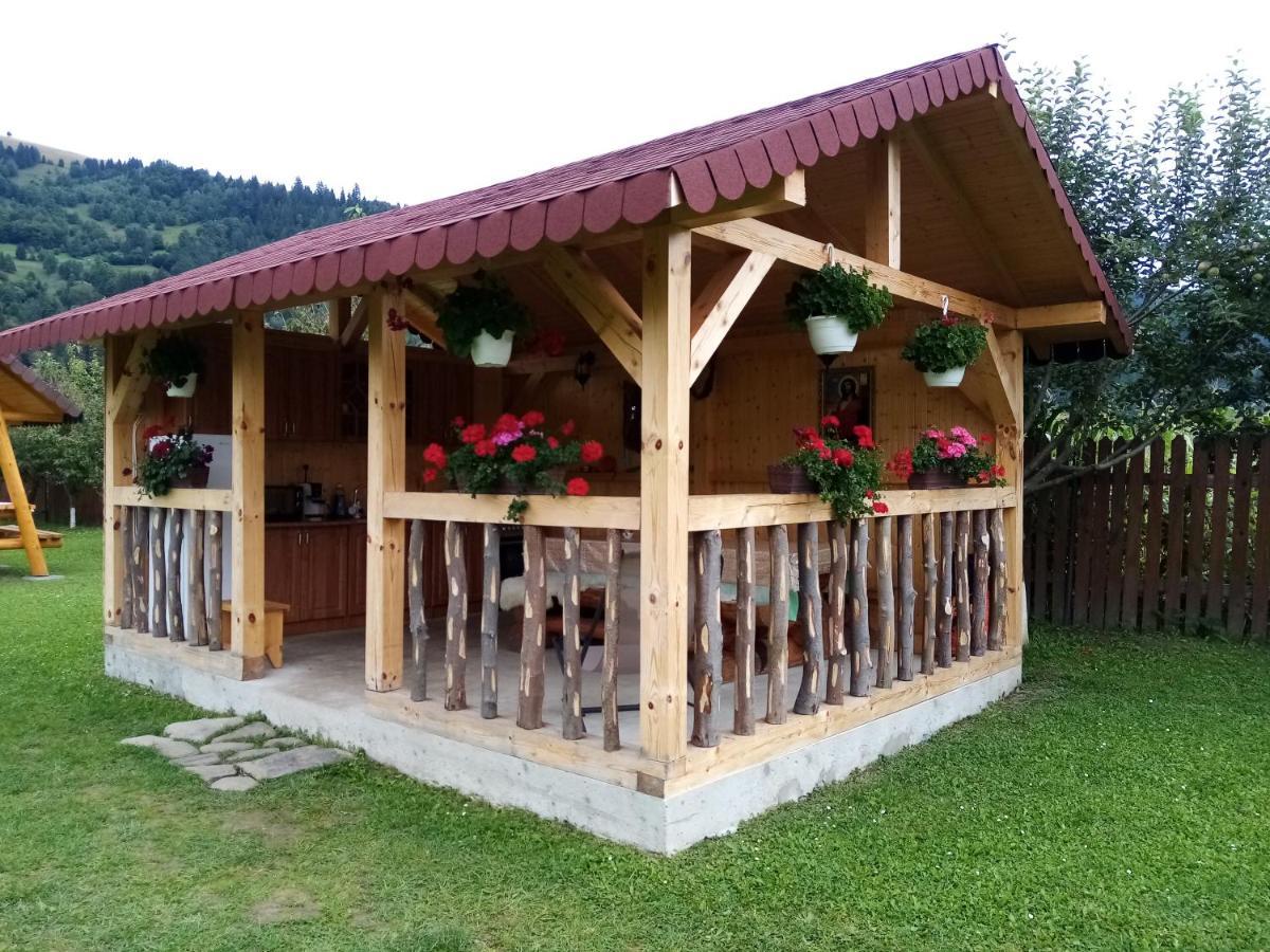 Casa Prundari Nicu Si Mirela Hotel Poiana Teiului Buitenkant foto