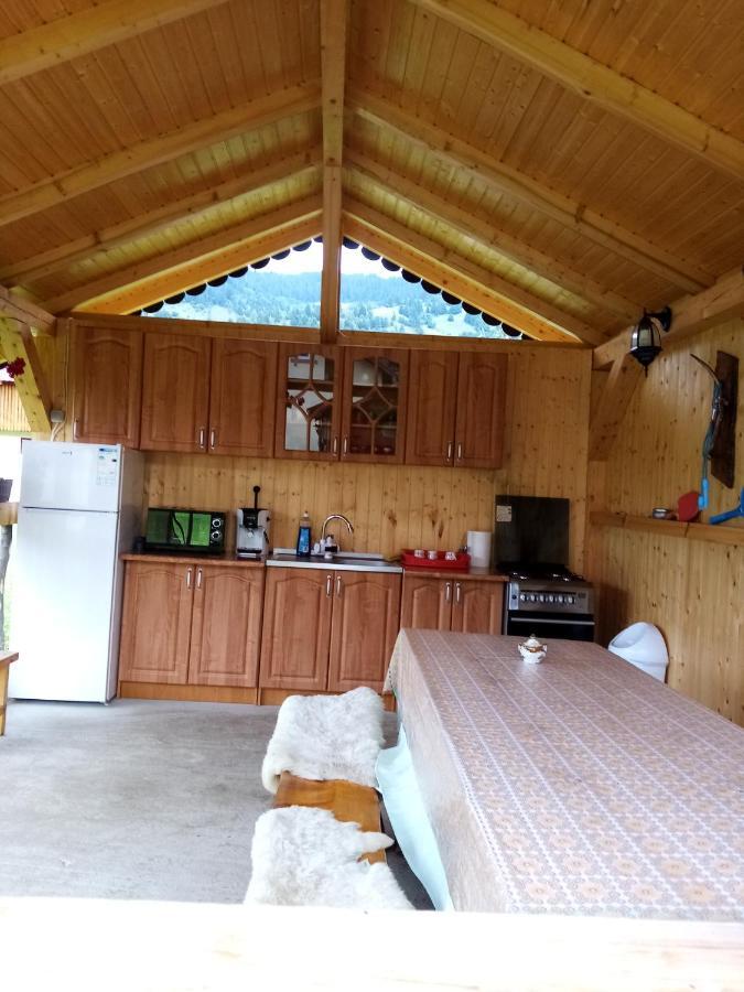 Casa Prundari Nicu Si Mirela Hotel Poiana Teiului Buitenkant foto
