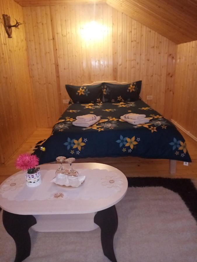 Casa Prundari Nicu Si Mirela Hotel Poiana Teiului Buitenkant foto