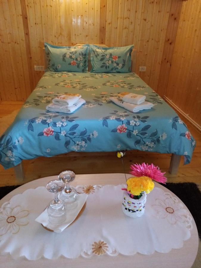 Casa Prundari Nicu Si Mirela Hotel Poiana Teiului Buitenkant foto