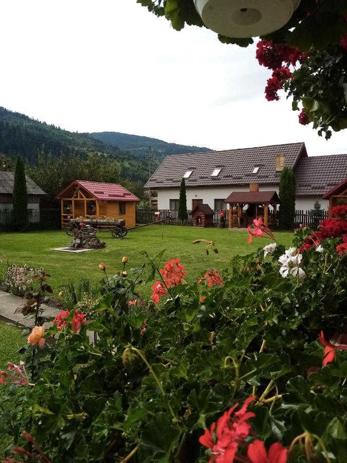 Casa Prundari Nicu Si Mirela Hotel Poiana Teiului Buitenkant foto