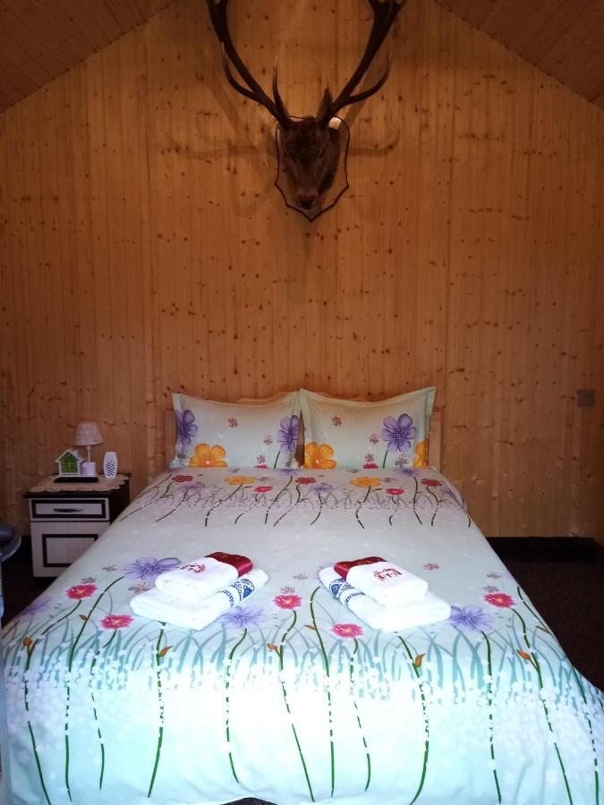 Casa Prundari Nicu Si Mirela Hotel Poiana Teiului Buitenkant foto