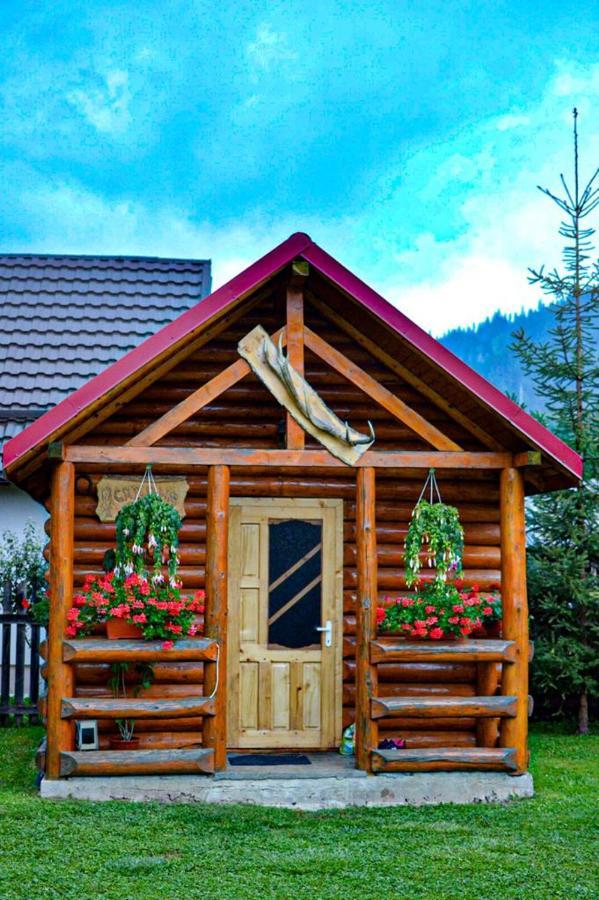 Casa Prundari Nicu Si Mirela Hotel Poiana Teiului Buitenkant foto