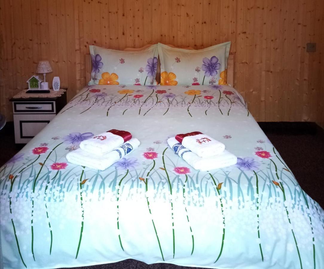 Casa Prundari Nicu Si Mirela Hotel Poiana Teiului Buitenkant foto
