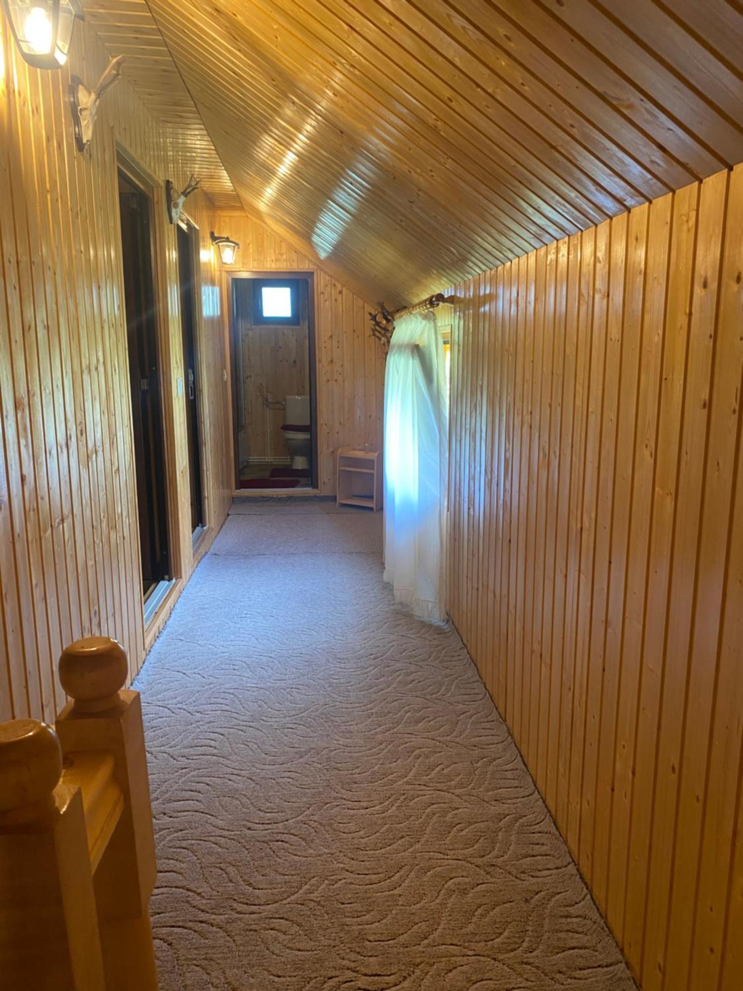 Casa Prundari Nicu Si Mirela Hotel Poiana Teiului Buitenkant foto