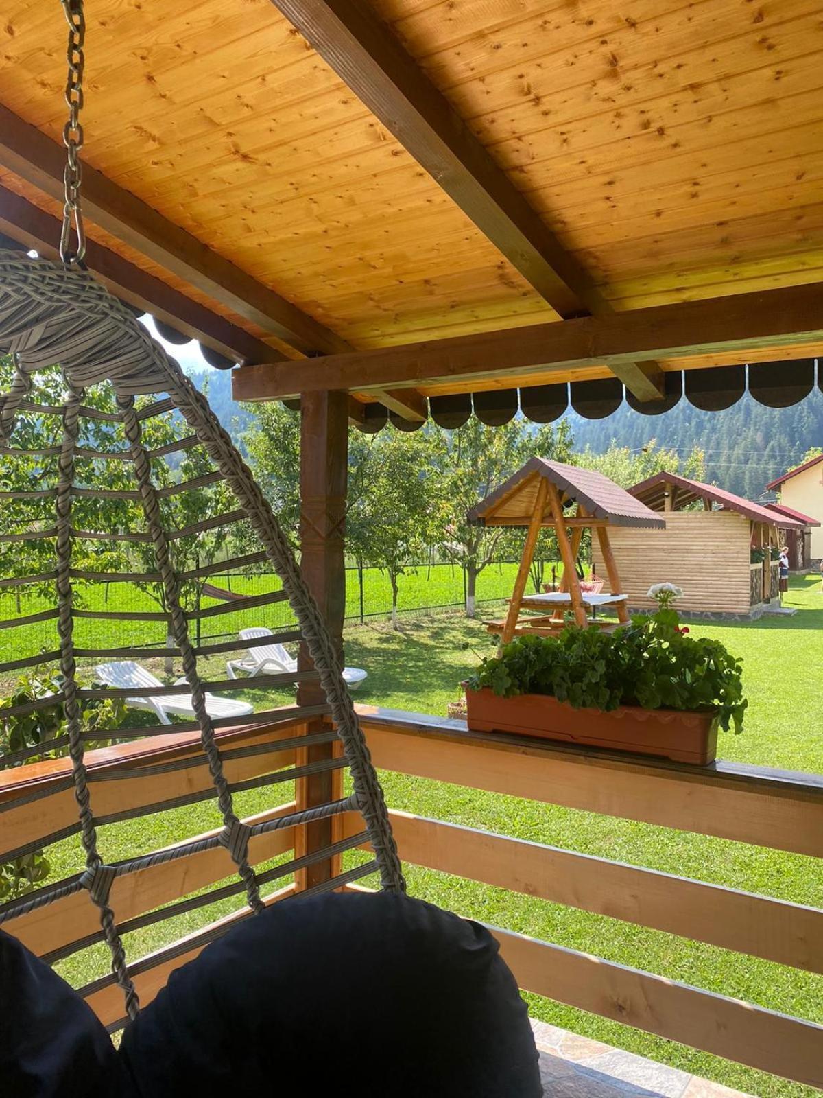 Casa Prundari Nicu Si Mirela Hotel Poiana Teiului Buitenkant foto
