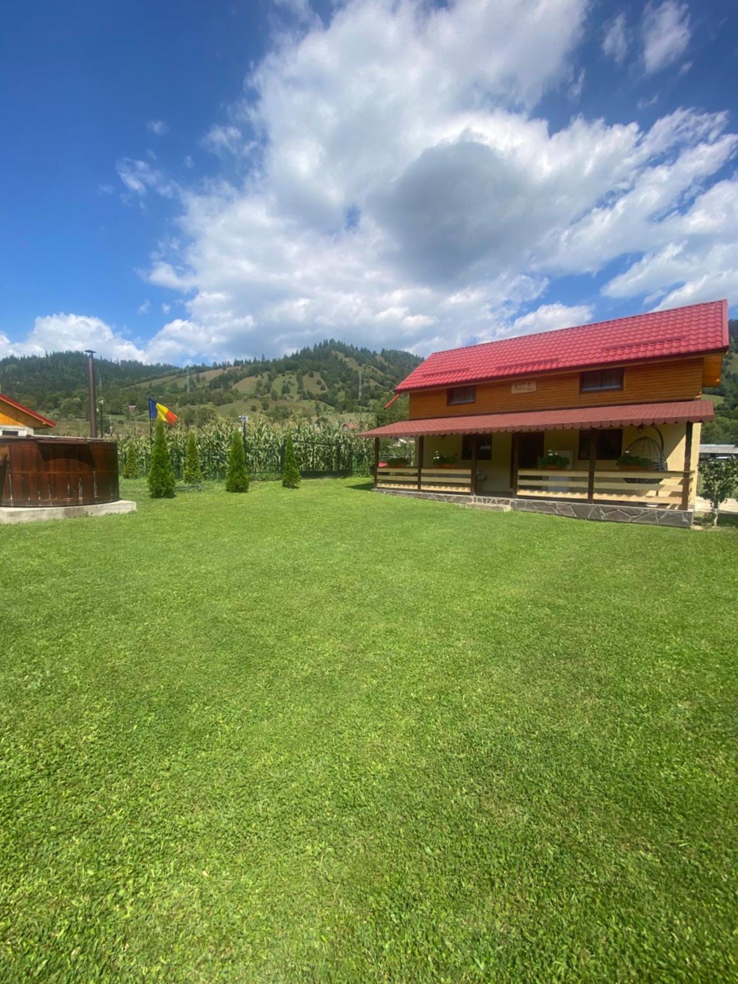 Casa Prundari Nicu Si Mirela Hotel Poiana Teiului Buitenkant foto