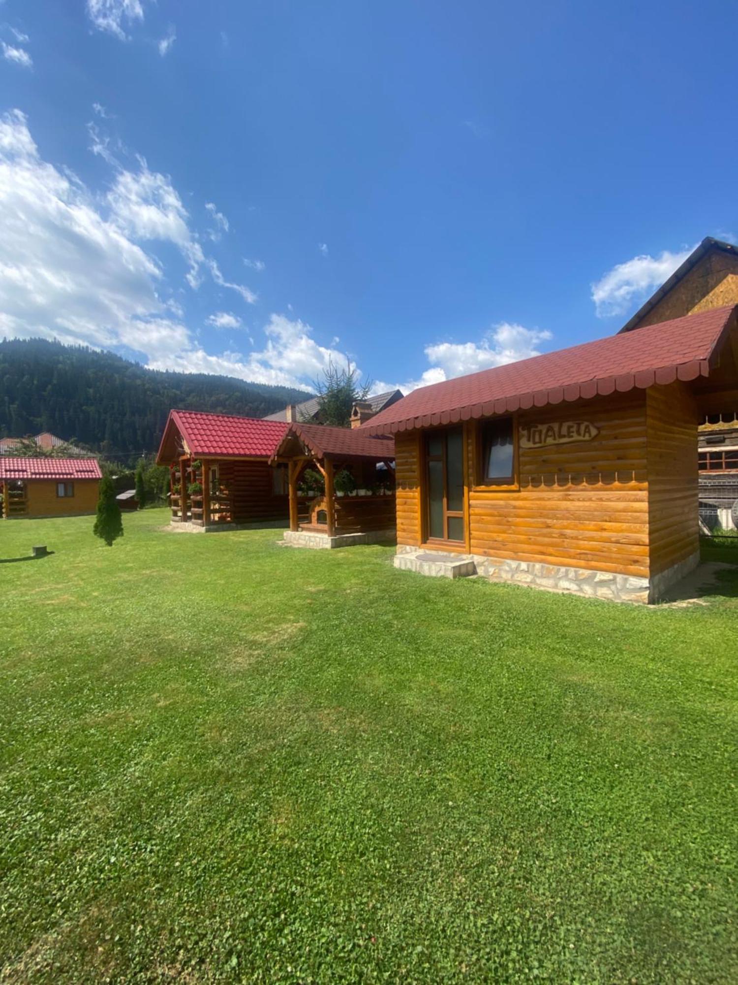 Casa Prundari Nicu Si Mirela Hotel Poiana Teiului Buitenkant foto