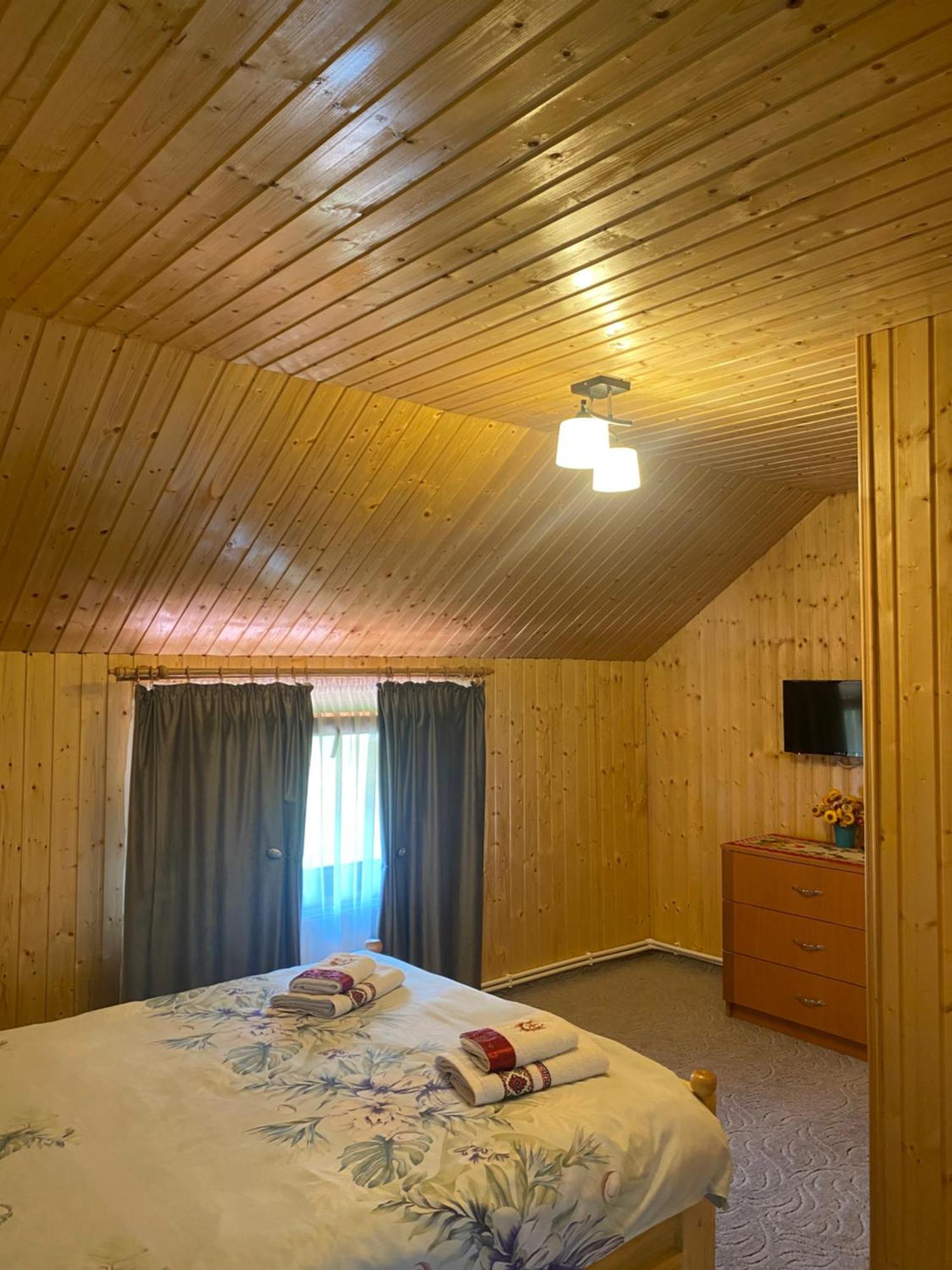 Casa Prundari Nicu Si Mirela Hotel Poiana Teiului Buitenkant foto
