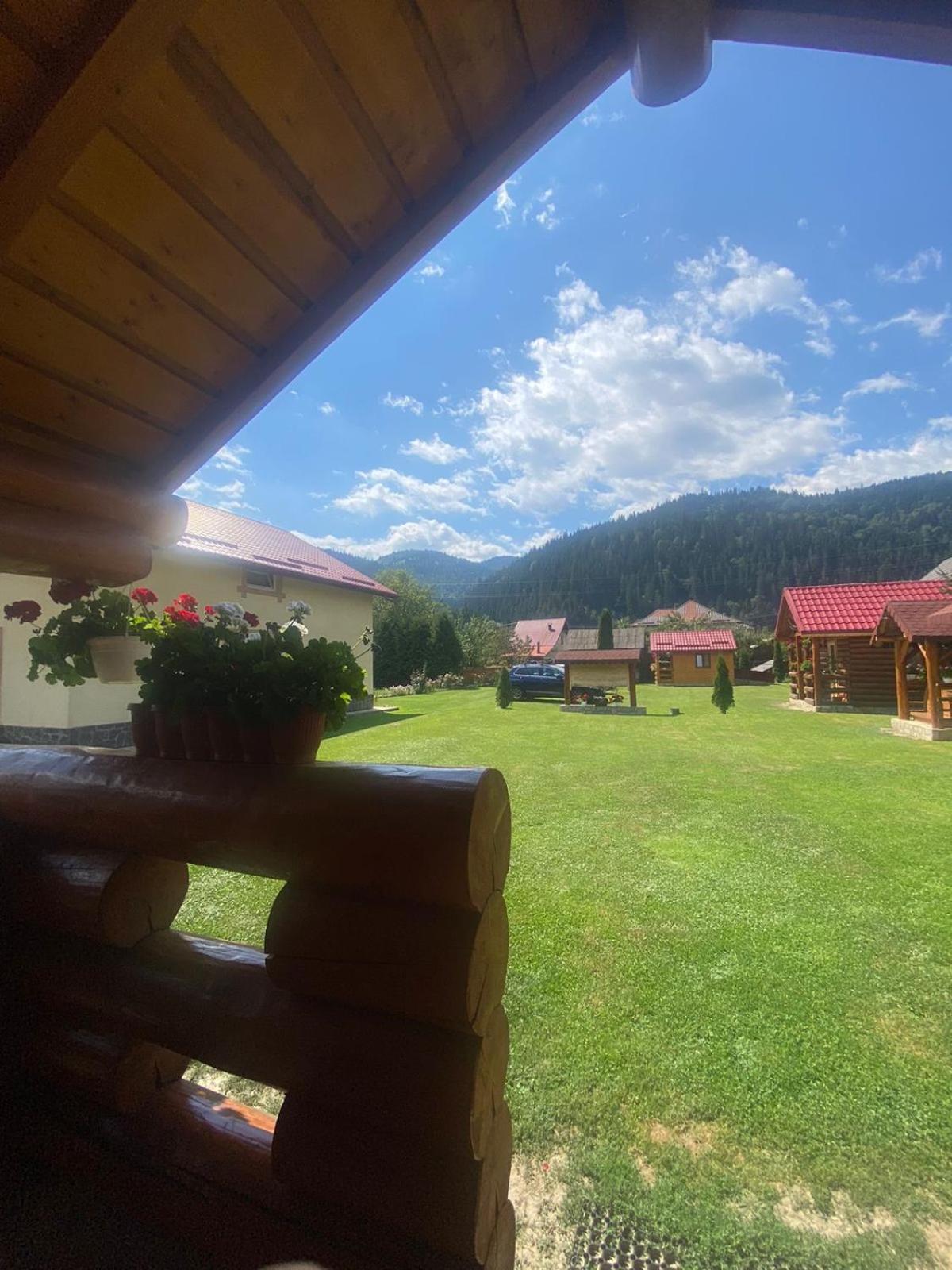 Casa Prundari Nicu Si Mirela Hotel Poiana Teiului Buitenkant foto