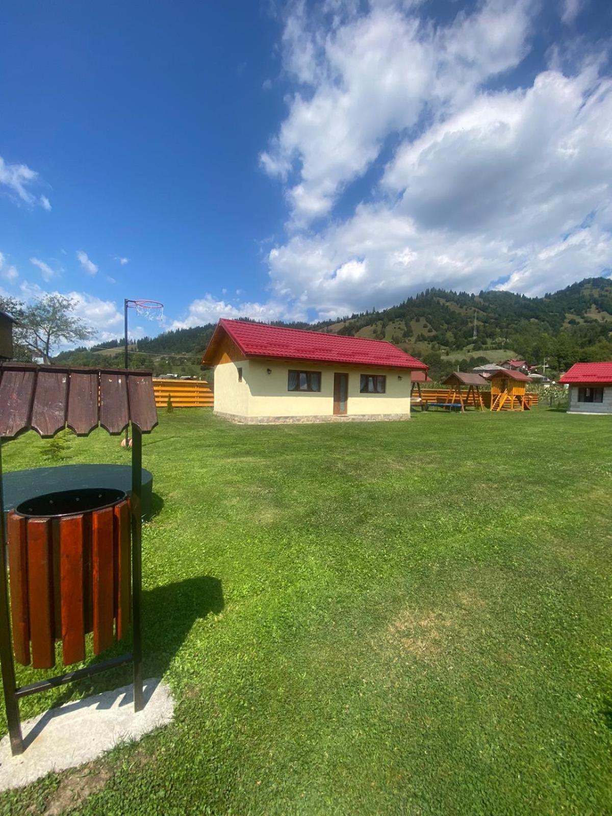 Casa Prundari Nicu Si Mirela Hotel Poiana Teiului Buitenkant foto