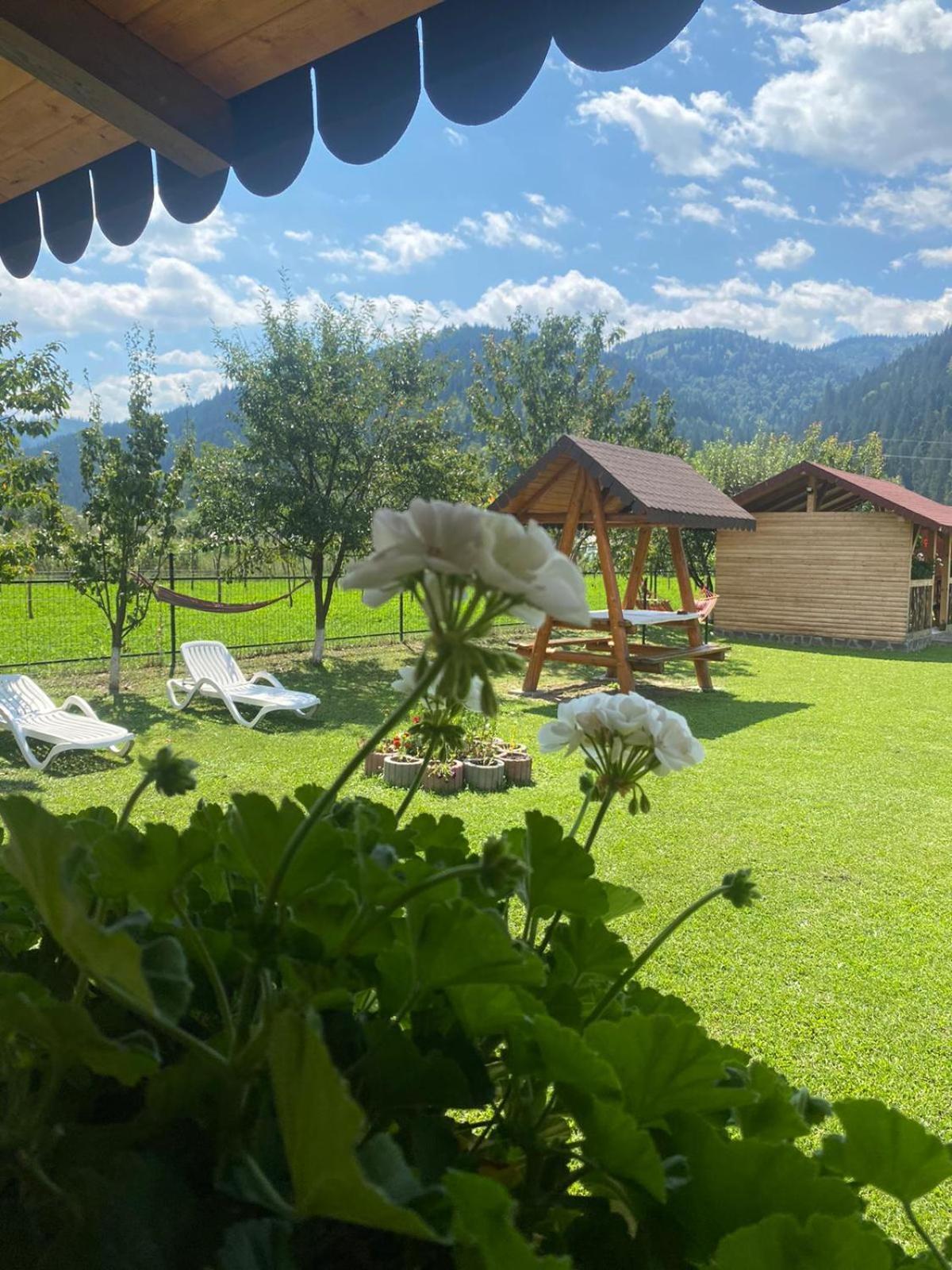Casa Prundari Nicu Si Mirela Hotel Poiana Teiului Buitenkant foto