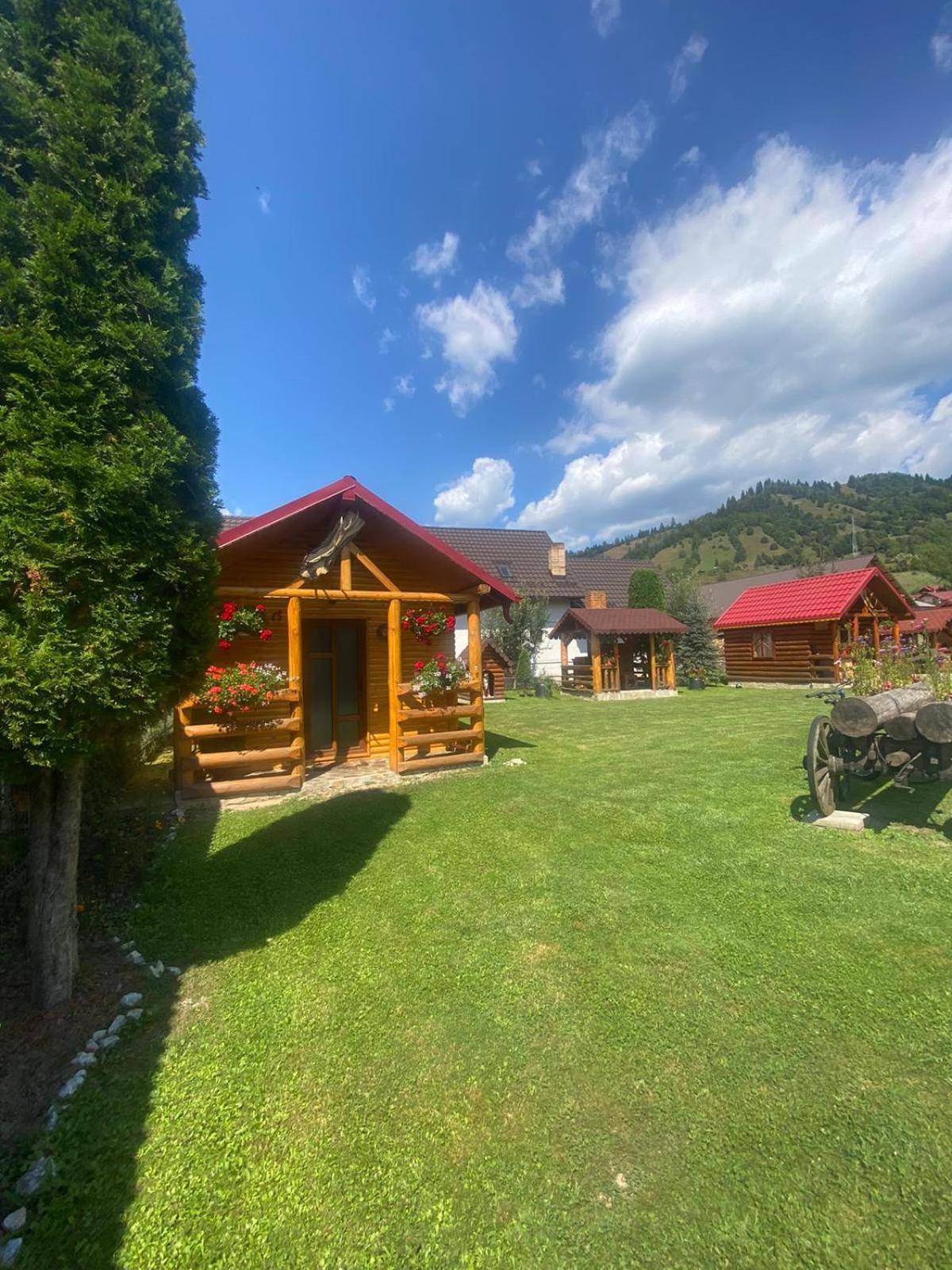 Casa Prundari Nicu Si Mirela Hotel Poiana Teiului Buitenkant foto